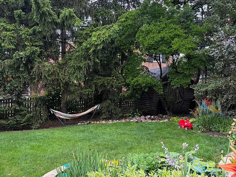 Back yard