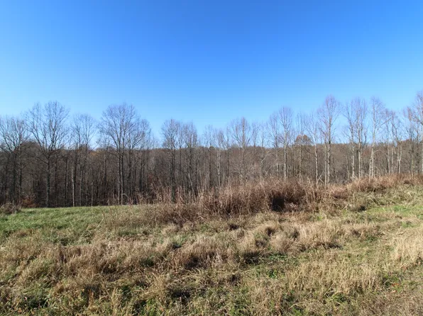 207 Coley Ct Lot 7, Lafayette, TN 37083