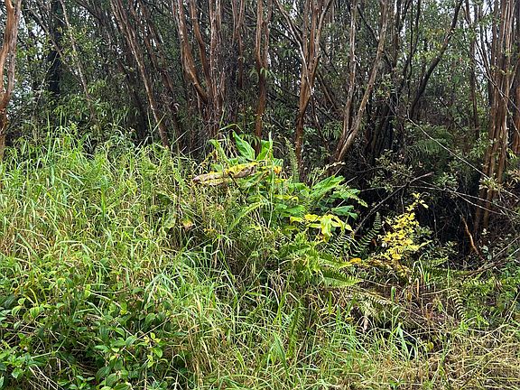 5th image of Road 14 Lot 867