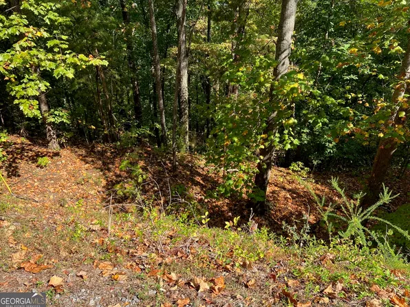 324 Adair Dr NE, Ranger, GA 30734