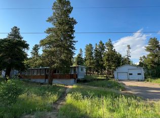 221 Timber Dr, Black Hawk, CO 80422
