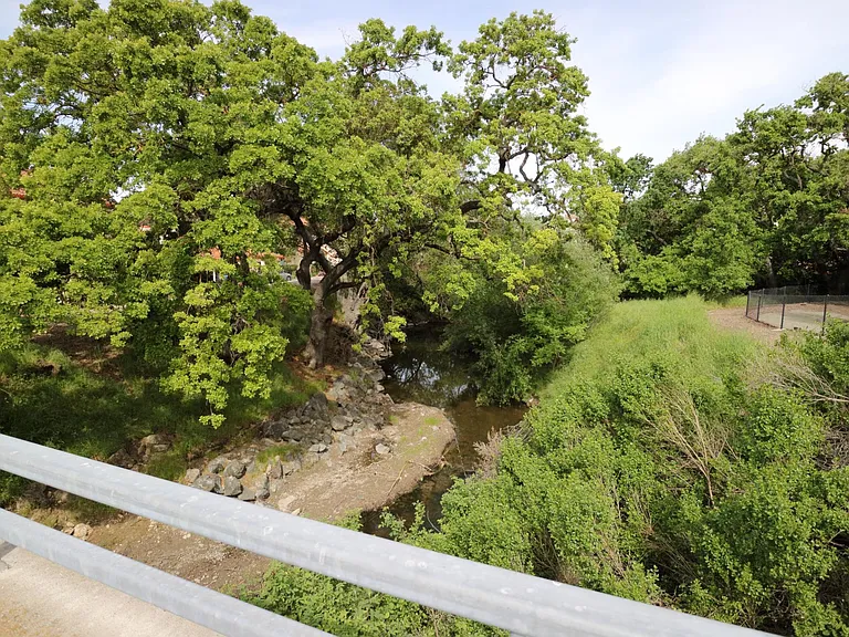 7031 Dublin Meadows St — Photo 47