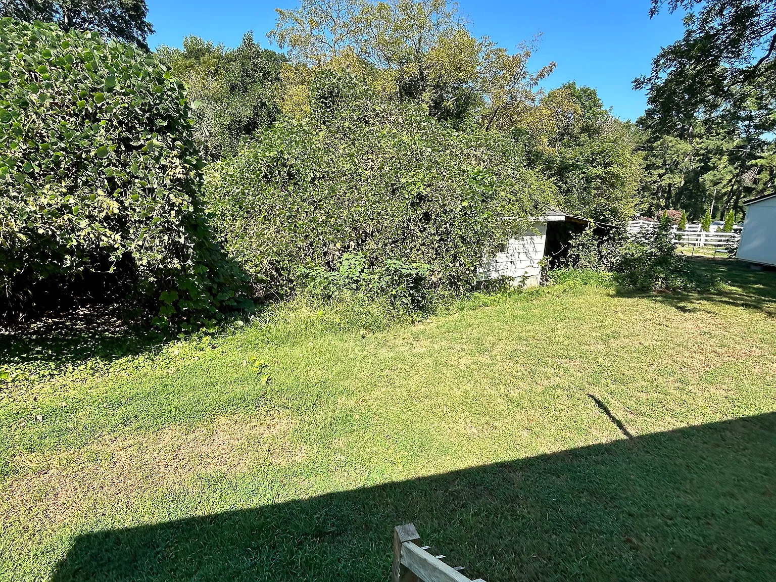 2 bed, 968 sqft, $1,075 — Photo 2