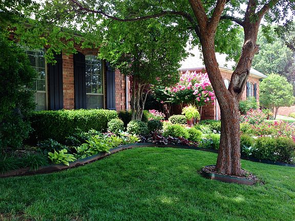 New landscaping