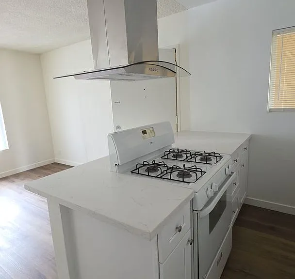 909 S Normandie Ave — Photo 3