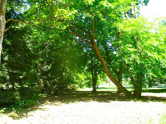 SERENE PROPERTY