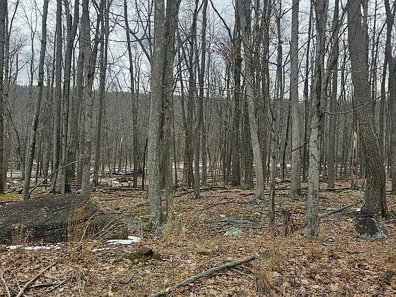 2nd image of 214 Chippewa Dr