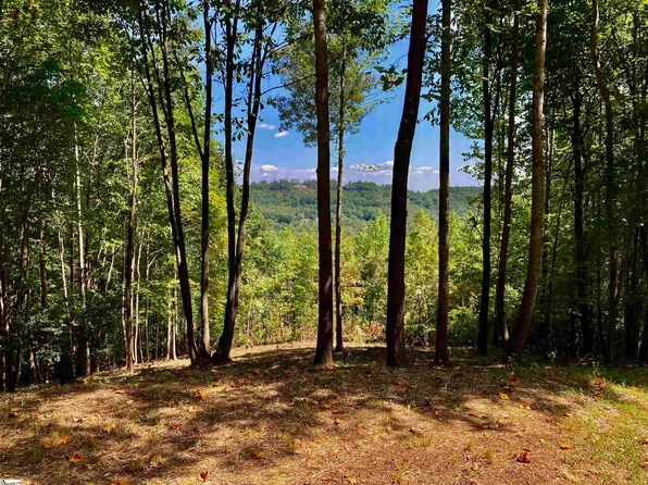 501 Blue Bonnet Trl, Marietta, SC 29661