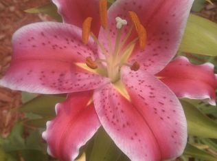 2602 Avon Ave SW, Wyoming, MI 49519