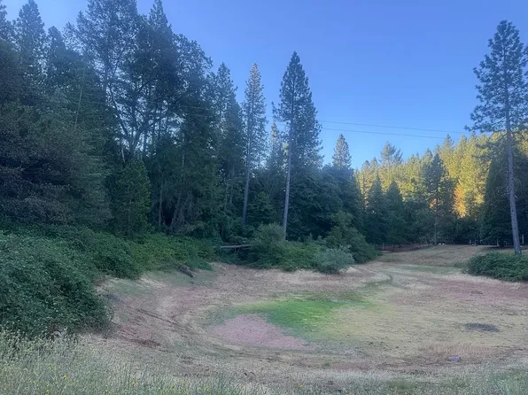 5150 Spanish Dry Diggins Rd, Greenwood, CA 95635