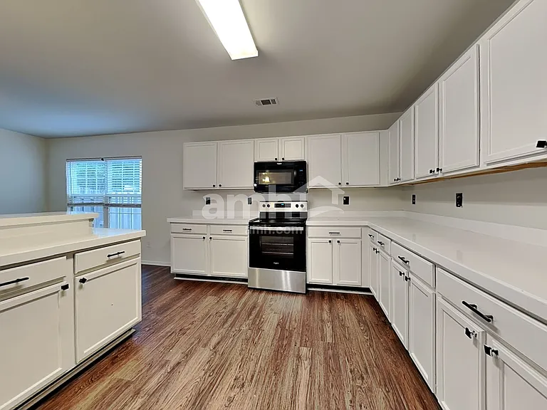 12408 Lanier Islands Cir — Photo 3