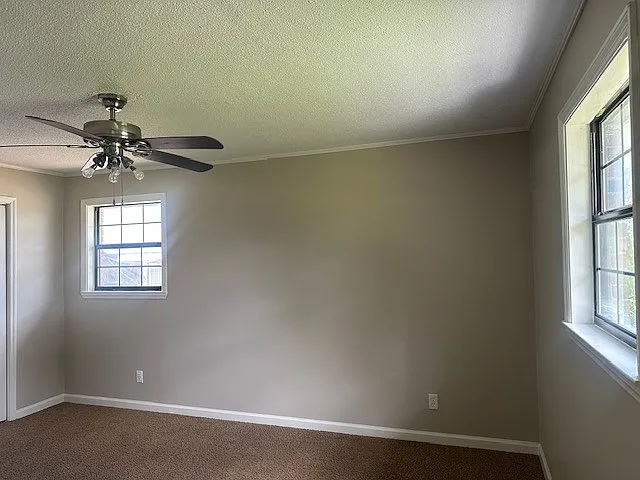 5208 David Dr — Photo 16