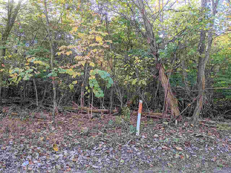 2nd image of LOT 15 Old Chisholm Trl
