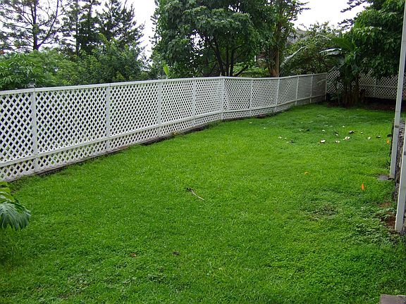 back yard