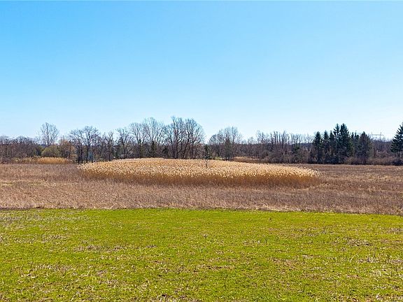 2nd image of 260 W Bloomfield Rd #43
