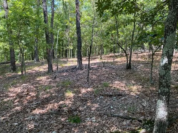 Wild Turkey Trl, Camp, AR 72520