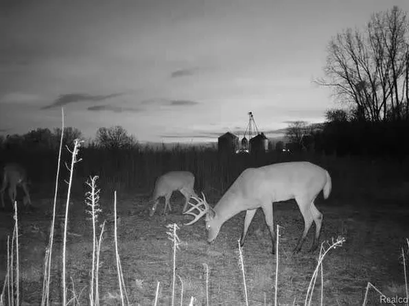 Stewart Rd, Lapeer, MI 48446