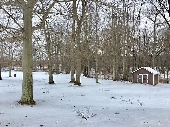 rear yard with shed