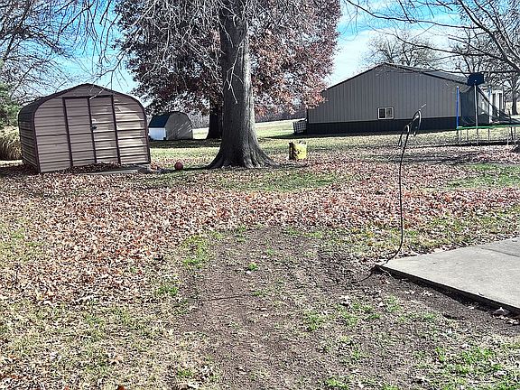Back yard 
