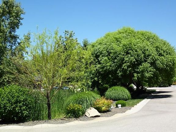 5th image of 6047 N Hazelbrook Ln