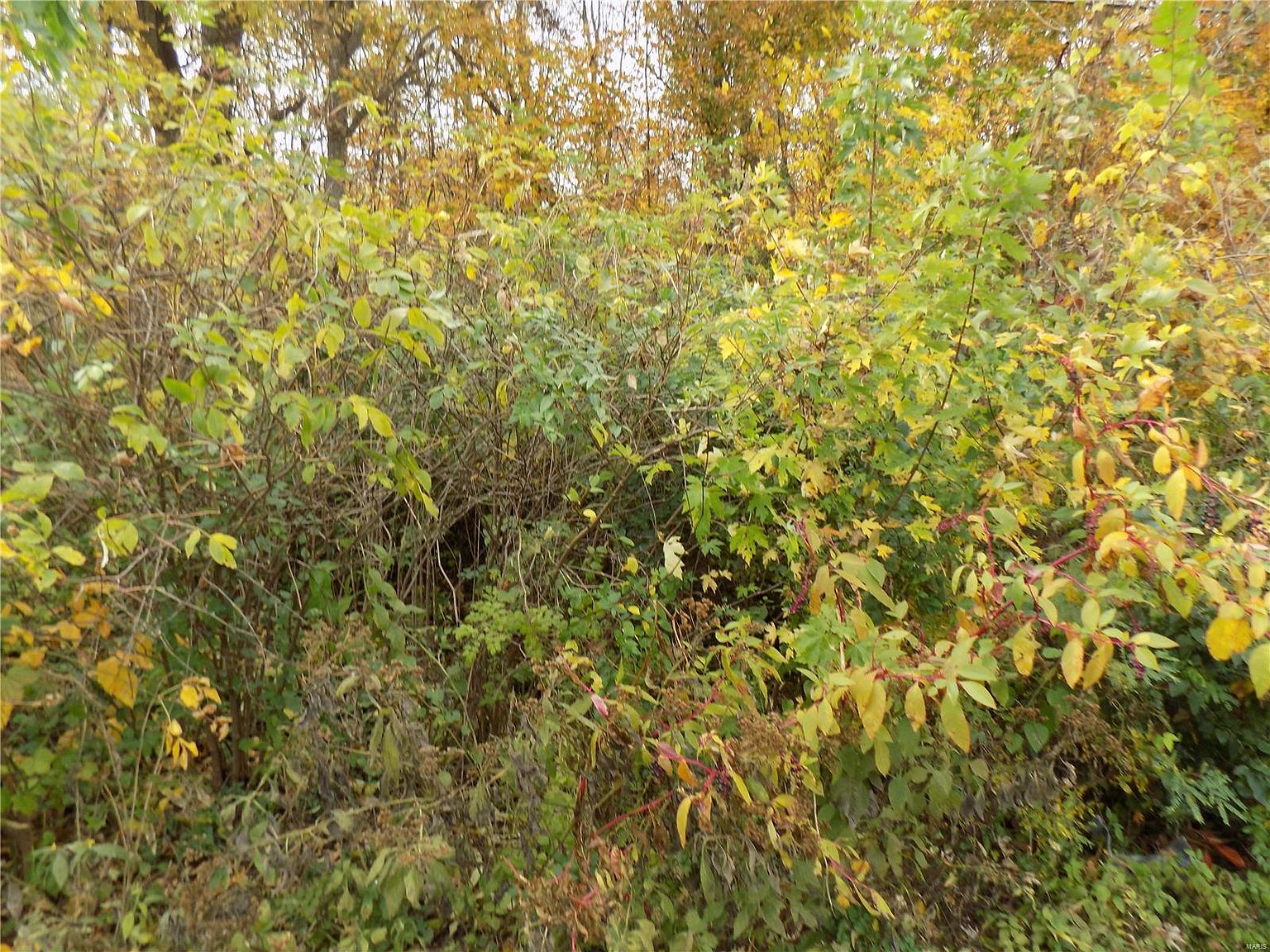 1350 W Highway 72, Ironton, MO 63650 Zillow