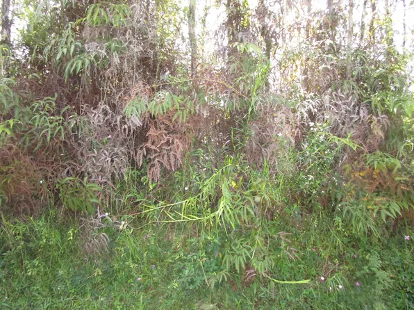 Kahoolawe Rd Lot 1132, Pahoa, HI 96778