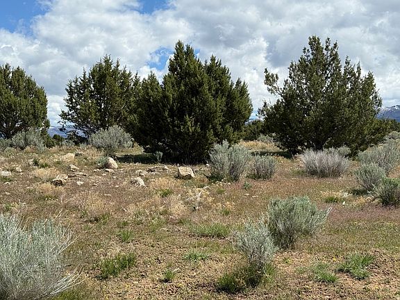 3rd image of 19 Old Hwy #89