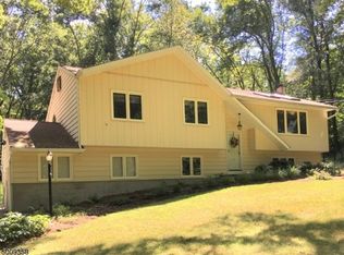 29 Danville Mountain Rd, Great Meadows, NJ 07838