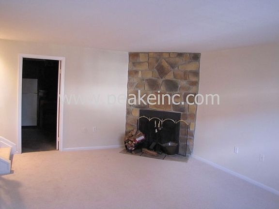 Stone FP in Rec Room