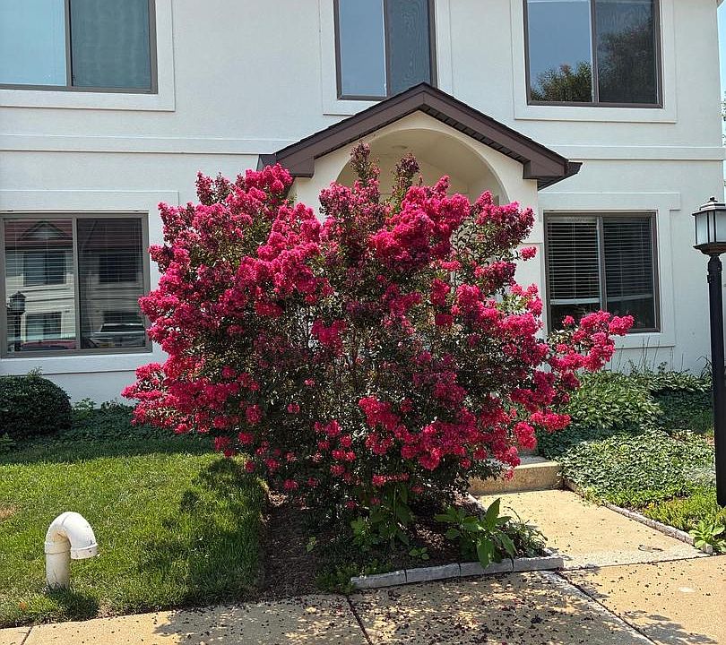 1st image of 54 Queen Caroline Ct