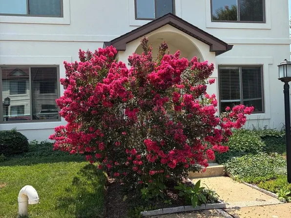 54 Queen Caroline Ct, Chester, MD 21619