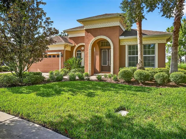 32202 Summerglade Dr, Wesley Chapel, FL 33545