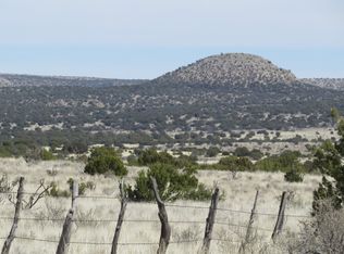 Off Bronco Road East Off Hwy #55, Mountainair, NM 87036