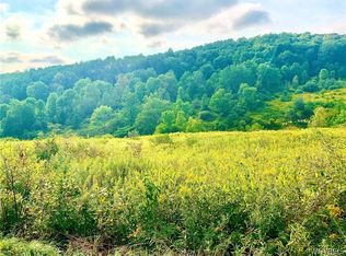 LOT 8 Horn Hill Rd LOT 8, Ellicottville, NY 14731