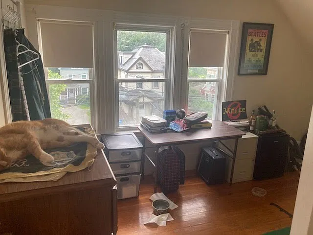 2 bed, $2,450 — Photo 1