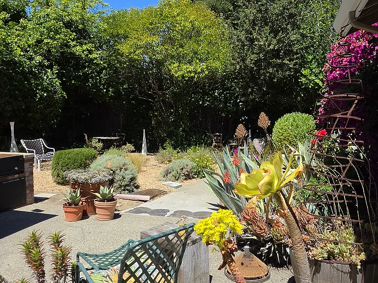 Mid Yard Areas