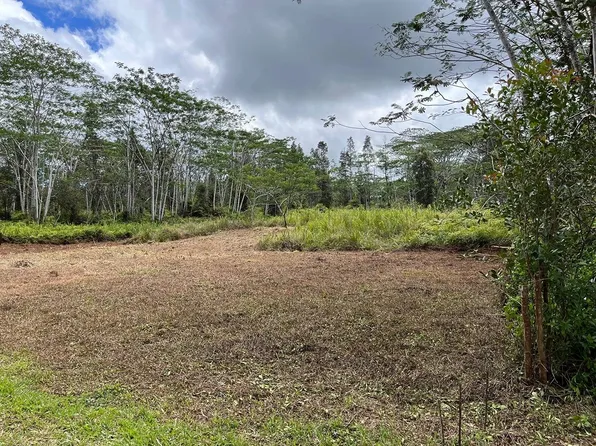 14-3501 Kona Rd Lot 335, Pahoa, HI 96778