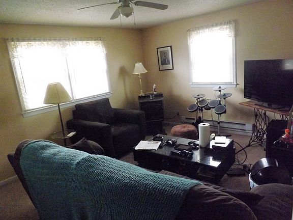 pellet stove in living room