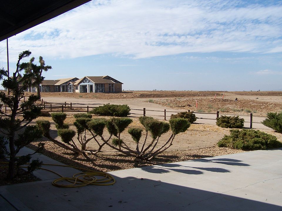 View from Living Room