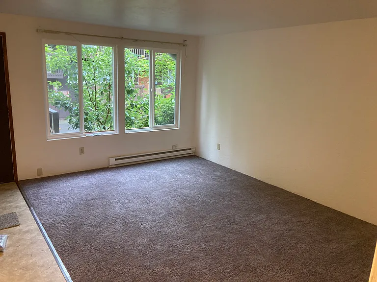 Separate living room - new carpet