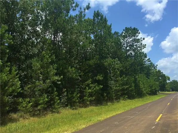 17514 Rising Fawn Rd, Amite, LA 70422