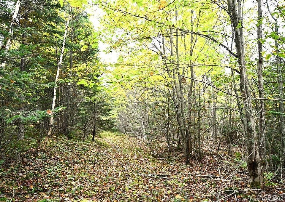 1st image of 155 Hutchins Rd