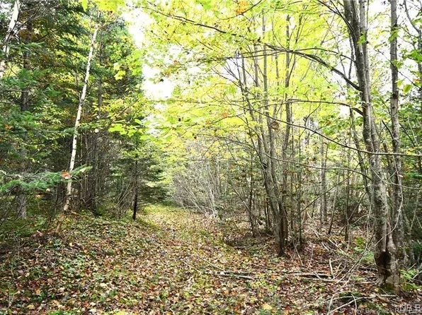 155 Hutchins Rd, Campobello Island, NB E5E 1H2