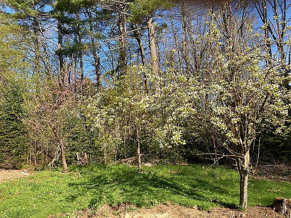 Fruit trees