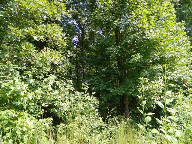 2nd image of 2149 Elberton Rd
