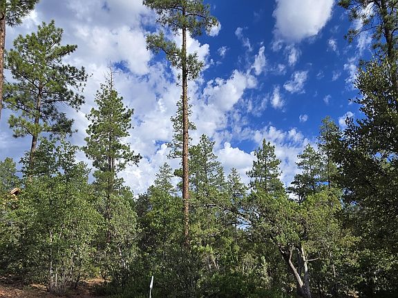 5th image of 0 W Forest Trl