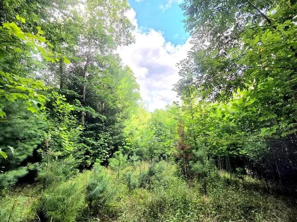 50 Camp Branch Rd, Topton, NC 28781