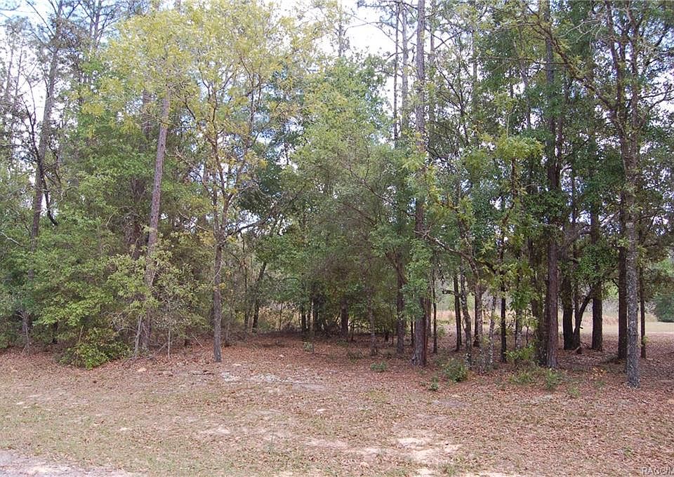 1st image of 8929 N Bengal Way