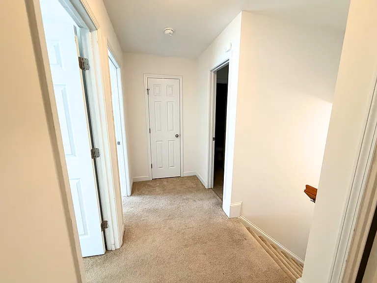 2541 Spring Oaks Way — Photo 53