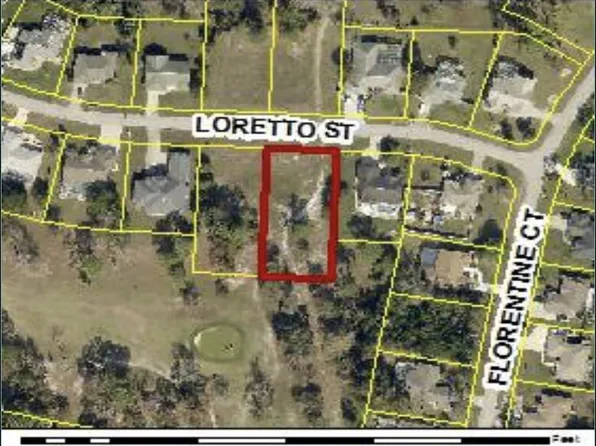 0 Tbd Loretto Lot 8 Street, Spring Hill, FL 34608